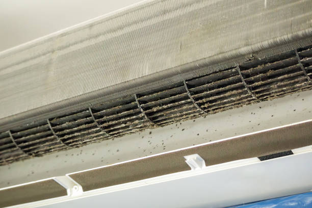 Best Commercial Air Duct Cleaning  in Glendale, MS